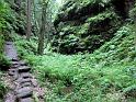 2010-06-12, Uttewalder Grund (46)